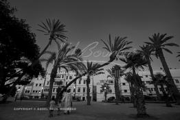 Image du Maroc Professionnelle de  Une femme accompgné de ses enfant traverse le Jardin Arste Zerktouni, un des premier espace vert située à l'intérieur de la médina de Casablanca, Jeudi 22 Septembre 2016. (photo Abdeljalil Bounhar) 